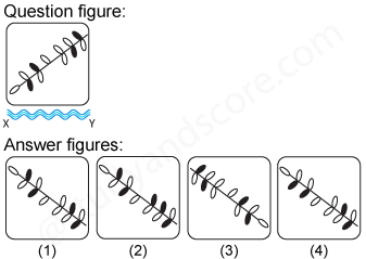 Non verbal reasoning, water images practice questions with detailed solutions, water images question and answers with explanations, Non-verbal series, water images tips and tricks, practice tests for competitive exams, Free water images practice questions